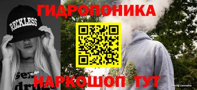эйфоретик Новозыбков