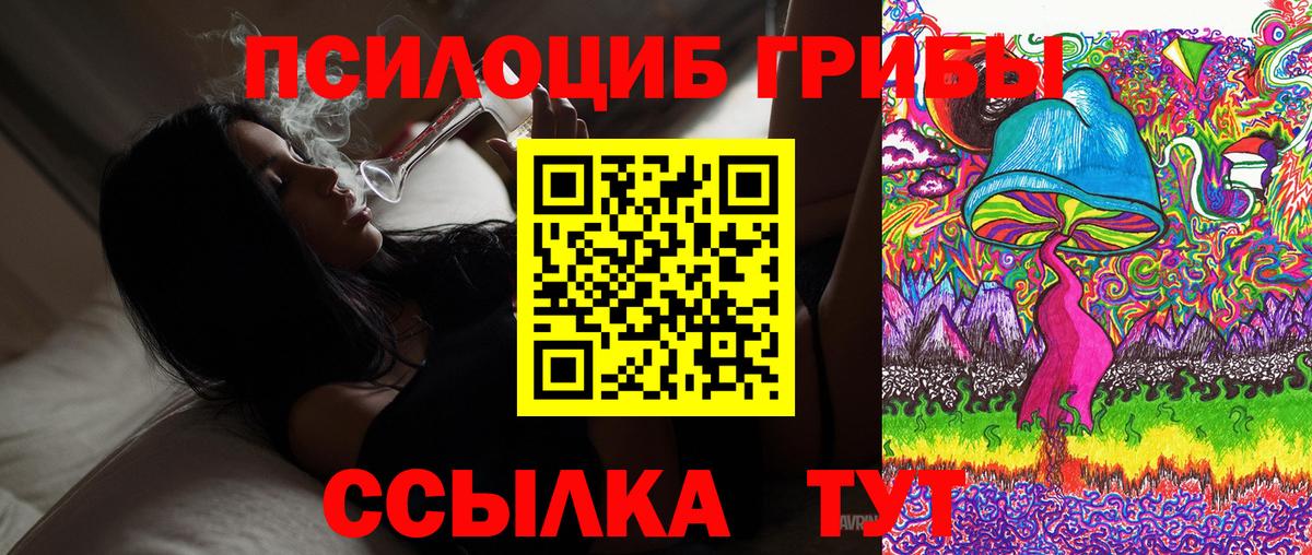 купить  сайты  Вход с VPN  Тамбов  Галлюциногенные грибы ЛСД 