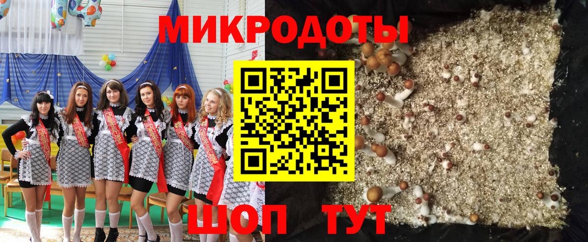 Псилоцибиновые грибы ЛСД Тамбов